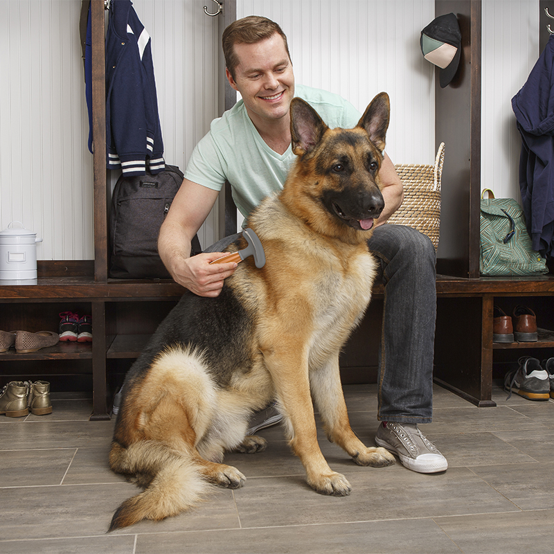 Undercoat rake clearance for german shepherds